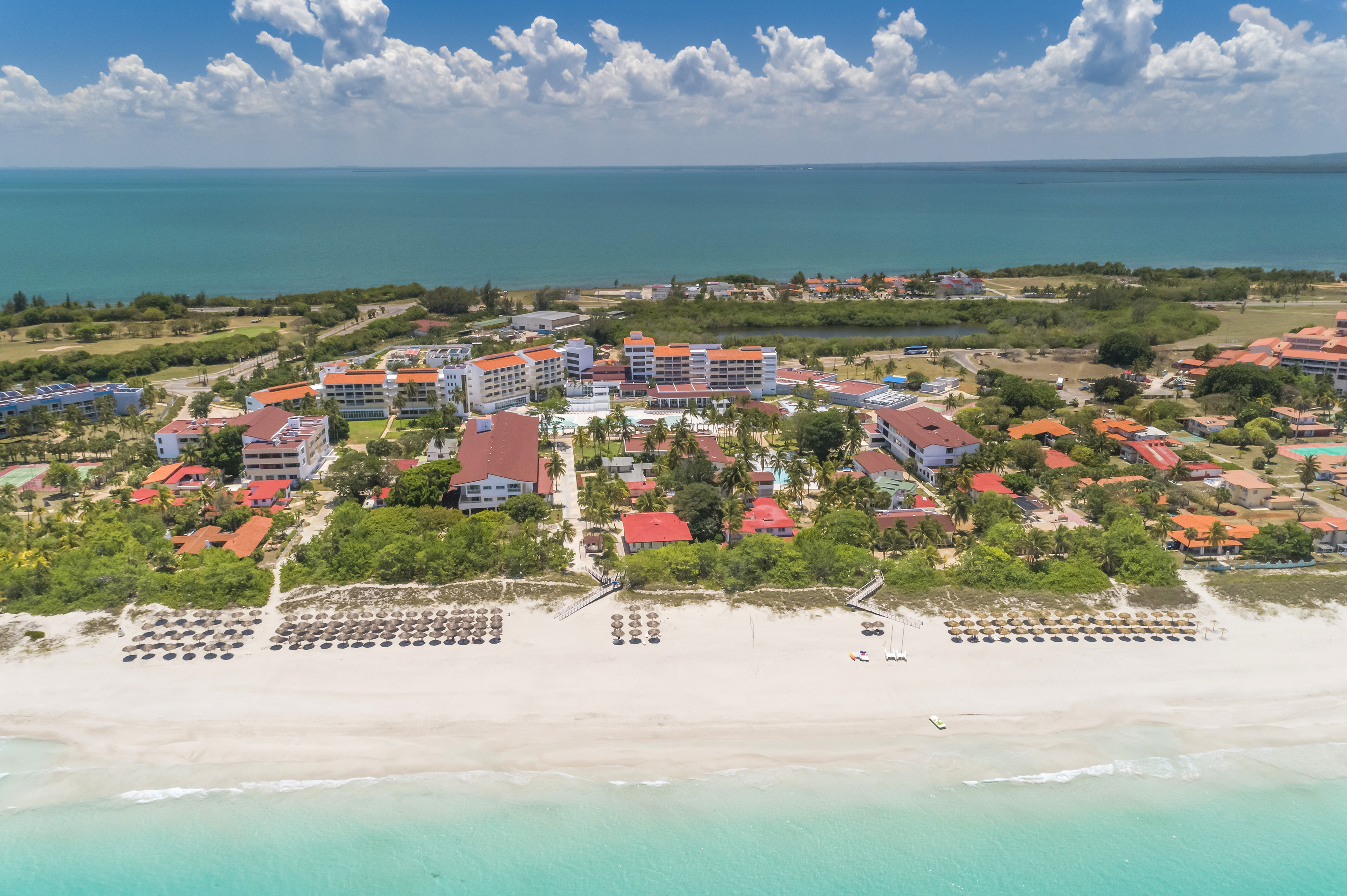 a beach with buildings and trees