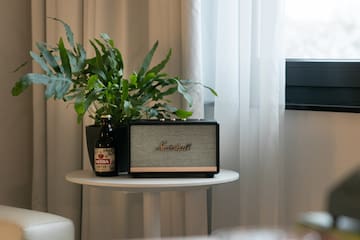 a plant on a table