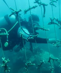 a person in a scuba gear under water