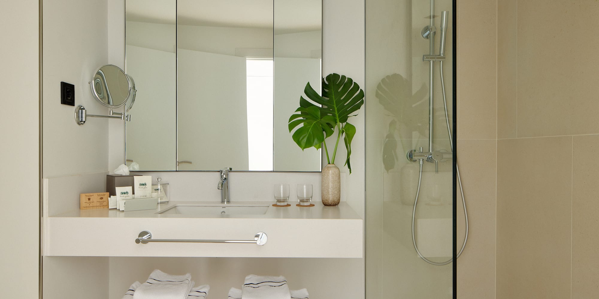 a bathroom with a mirror and a sink