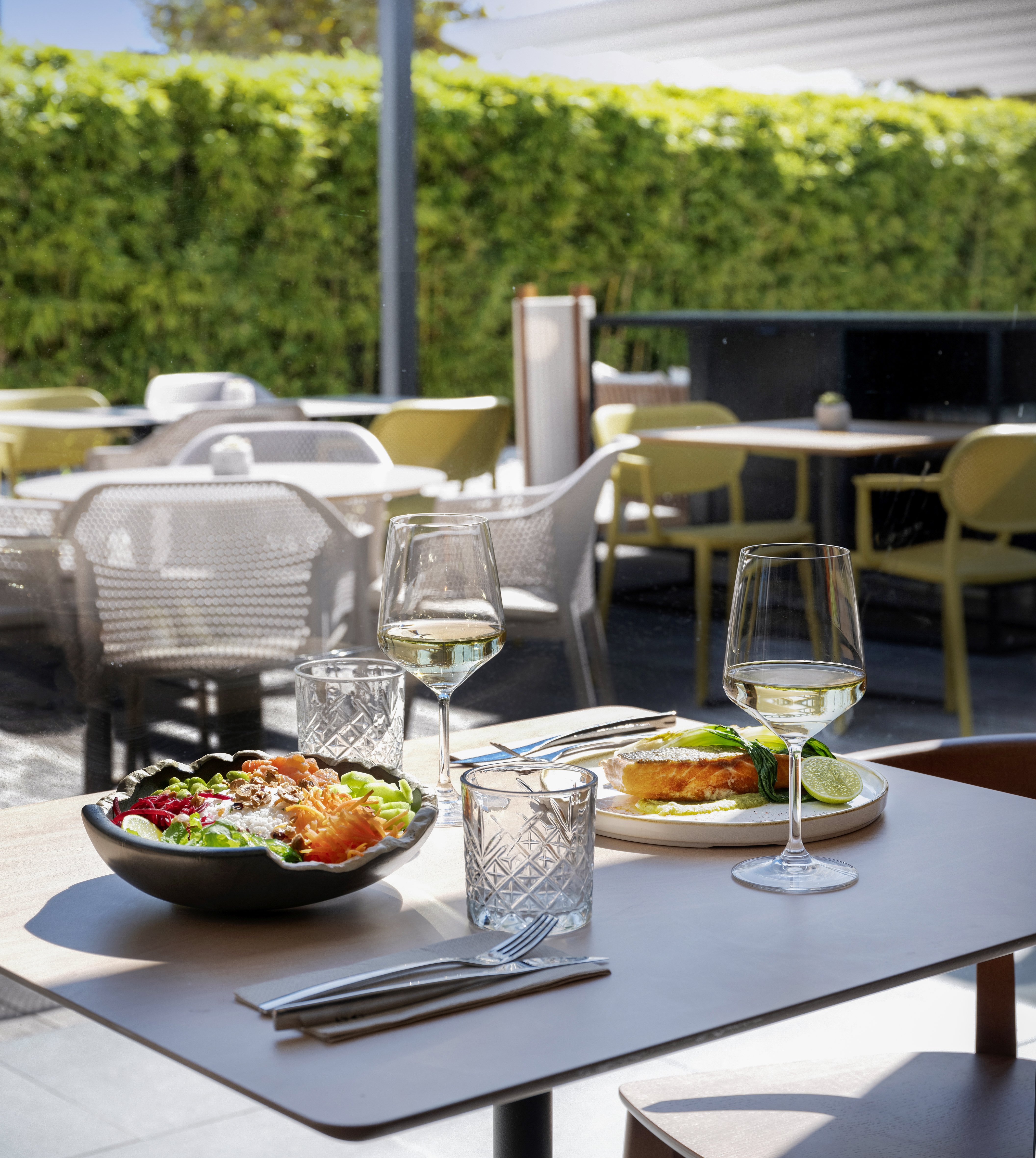 Restaurant patio meal: grilled salmon, fresh salad, white wine.