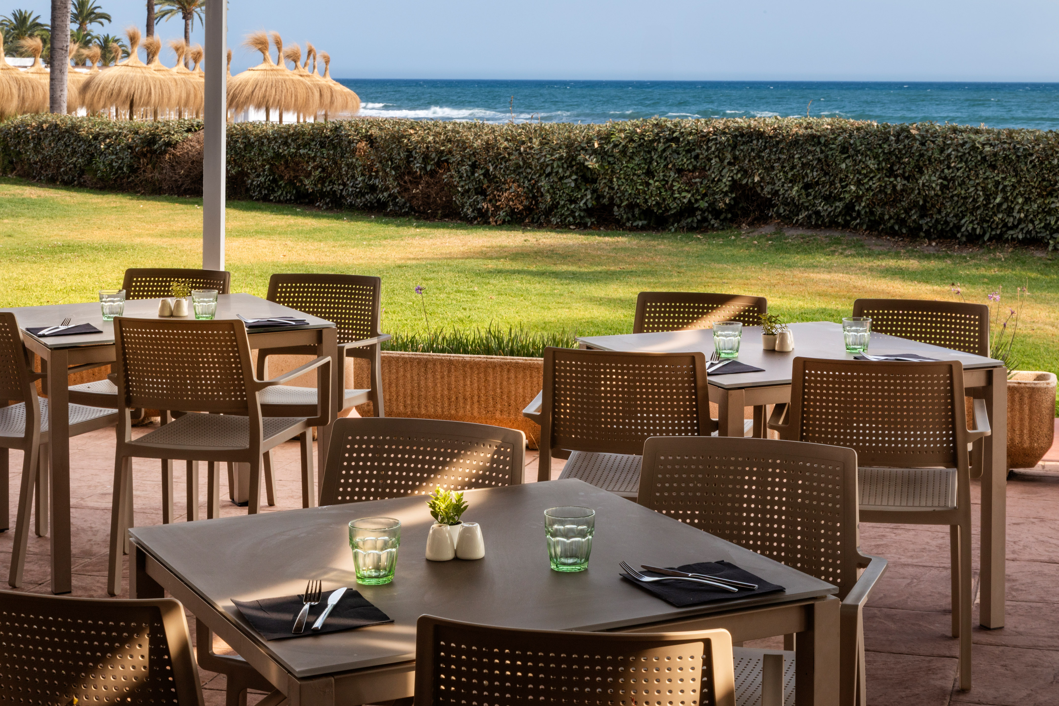 Beachfront restaurant terrace with dining tables, ocean view, palm trees.