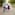 a man and woman walking down a path with two children