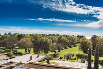 a park with trees and a building