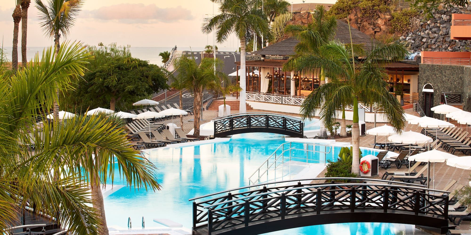 a swimming pool with palm trees and a bridge