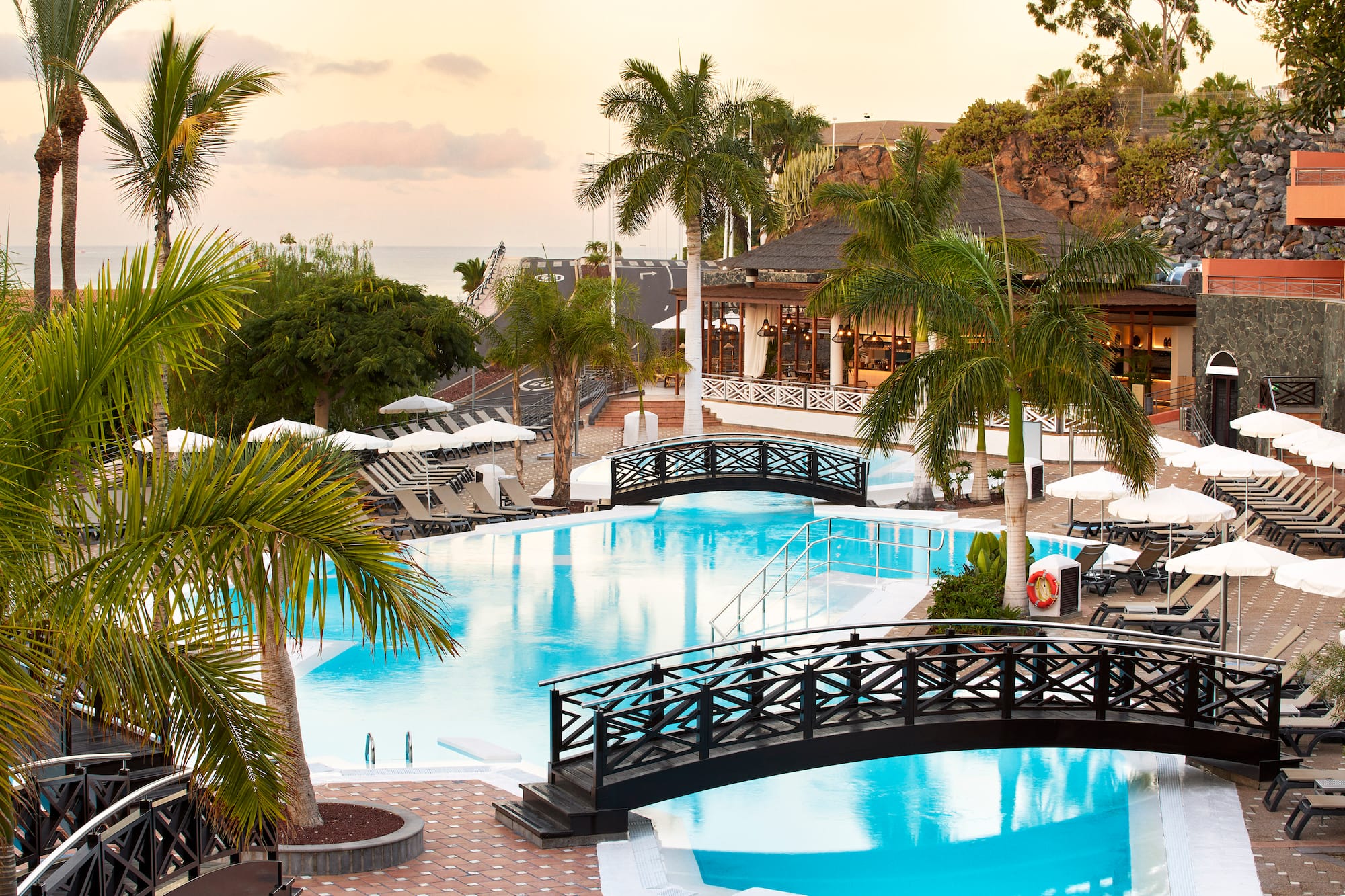 a swimming pool with palm trees and a bridge