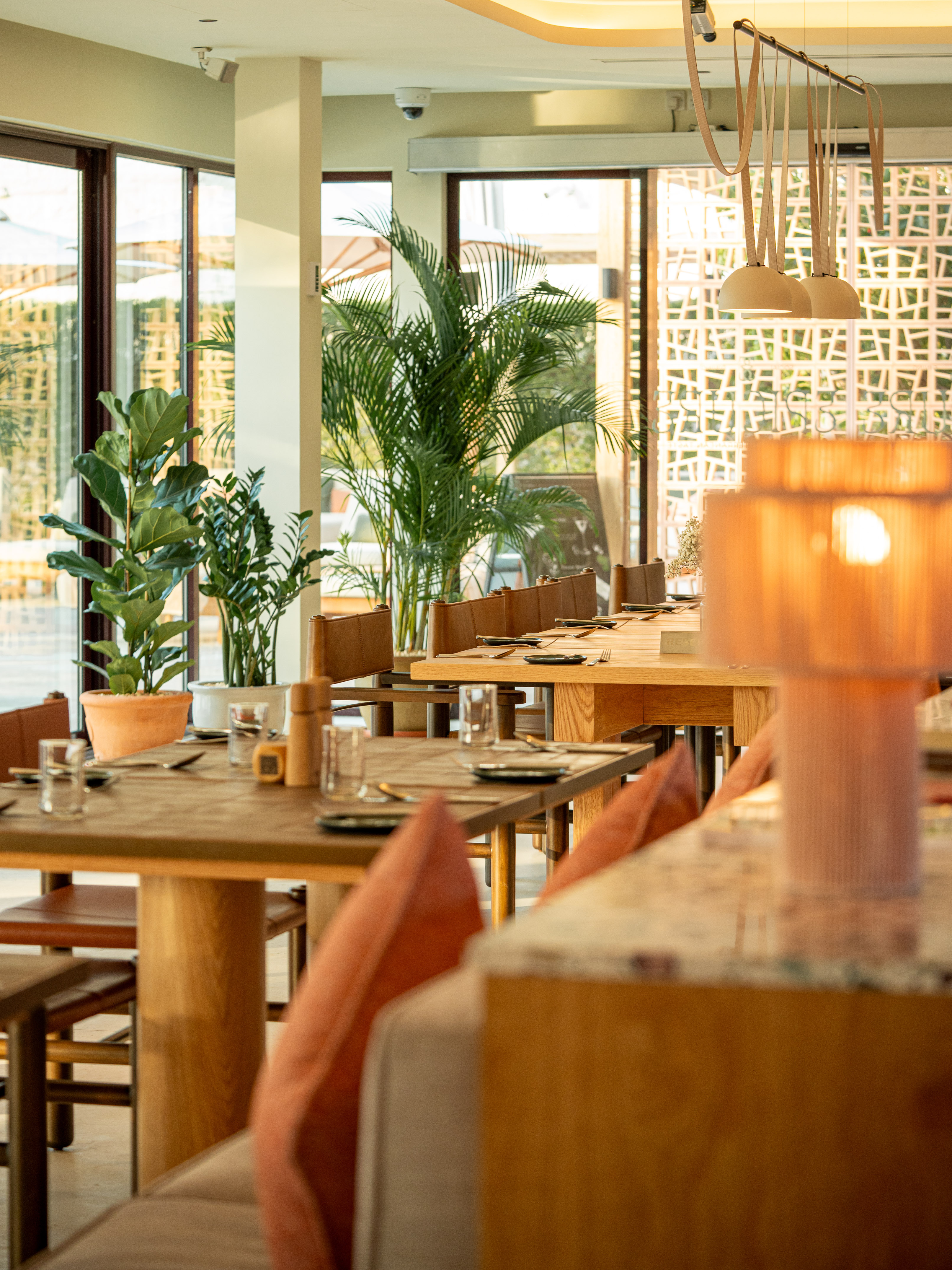 Modern restaurant dining room with wooden tables, potted plants, and natural light.