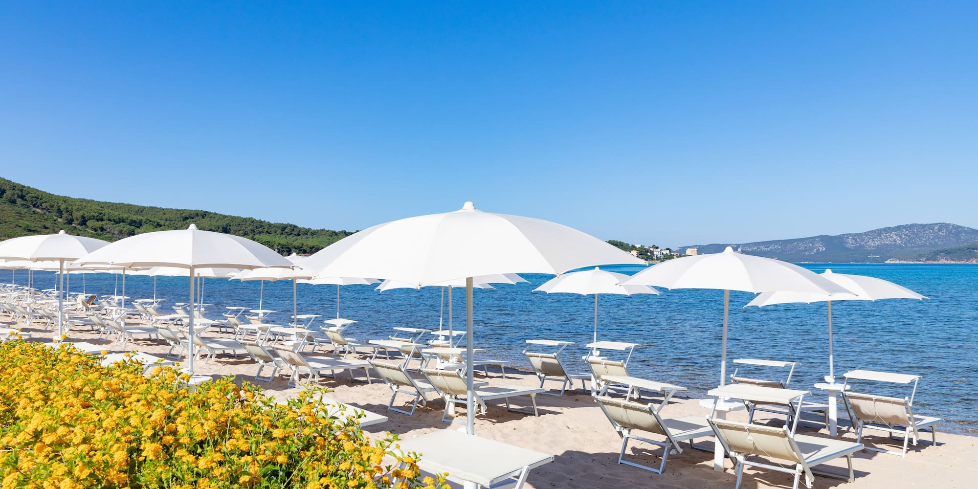 a beach with chairs and umbrellas