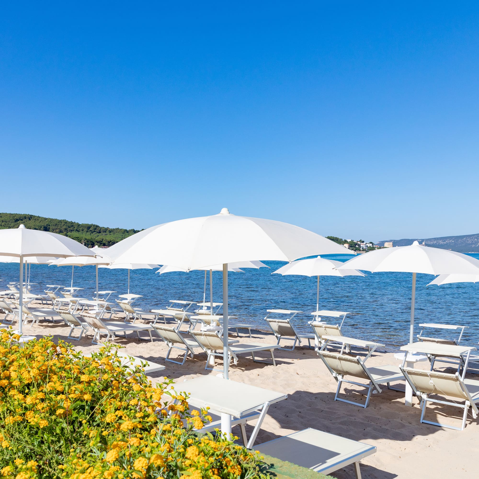 a beach with chairs and umbrellas