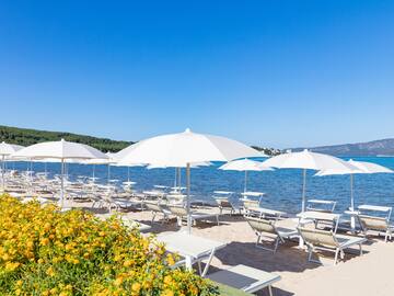 a beach with chairs and umbrellas