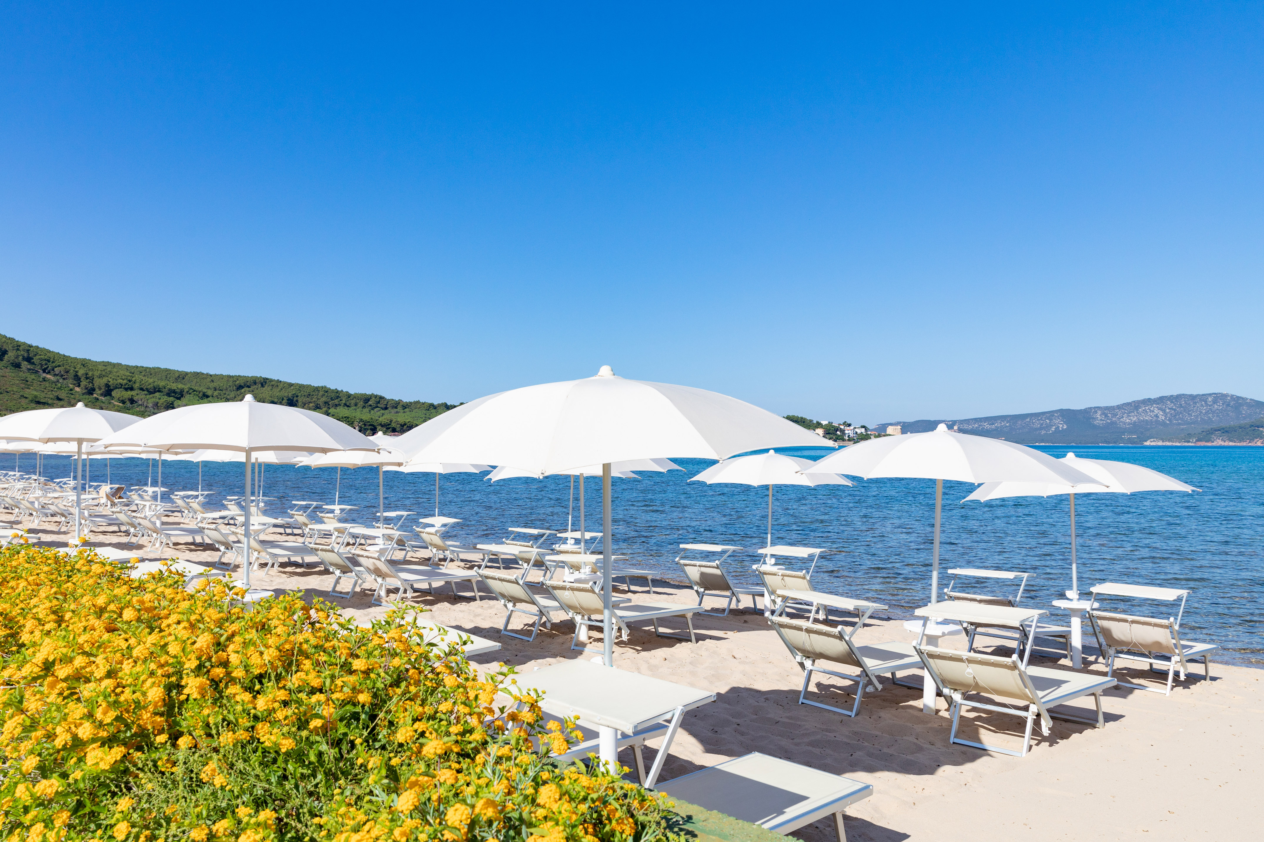 Sunny beach with white umbrellas, sun loungers, yellow flowers, blue ocean.