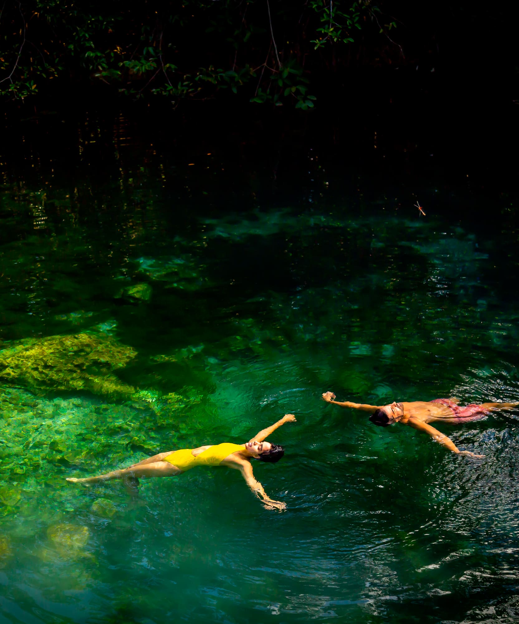 a couple of people swimming in a body of water