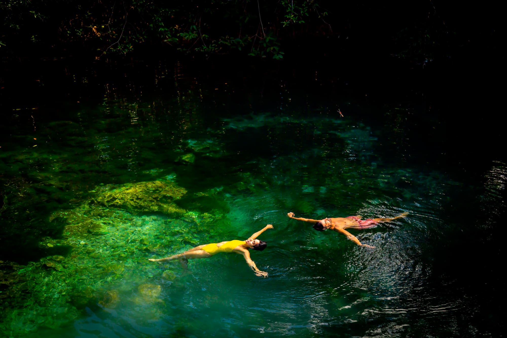 a couple of people swimming in a body of water
