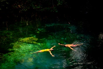 a couple of people swimming in a body of water