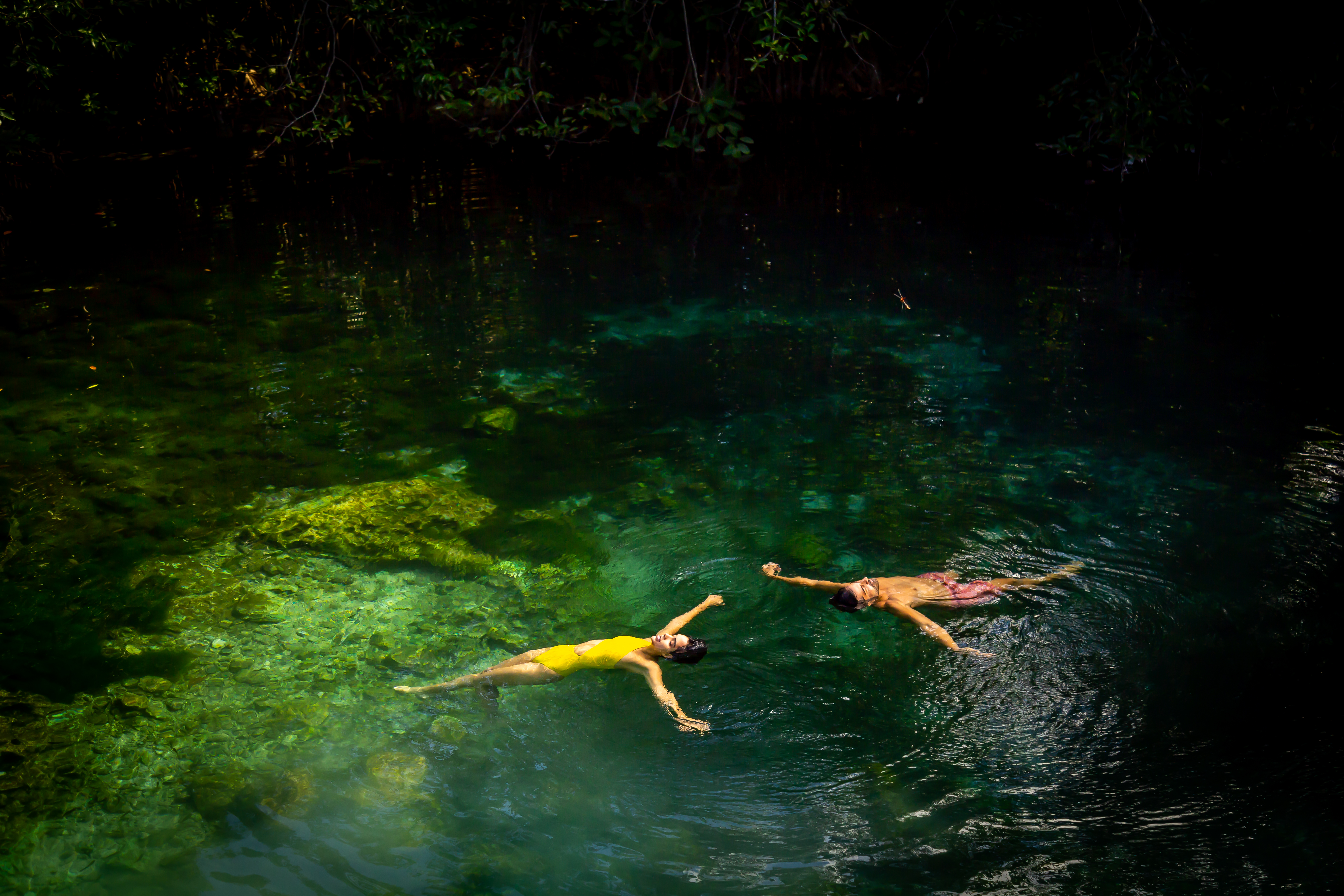 a couple of people swimming in a body of water
