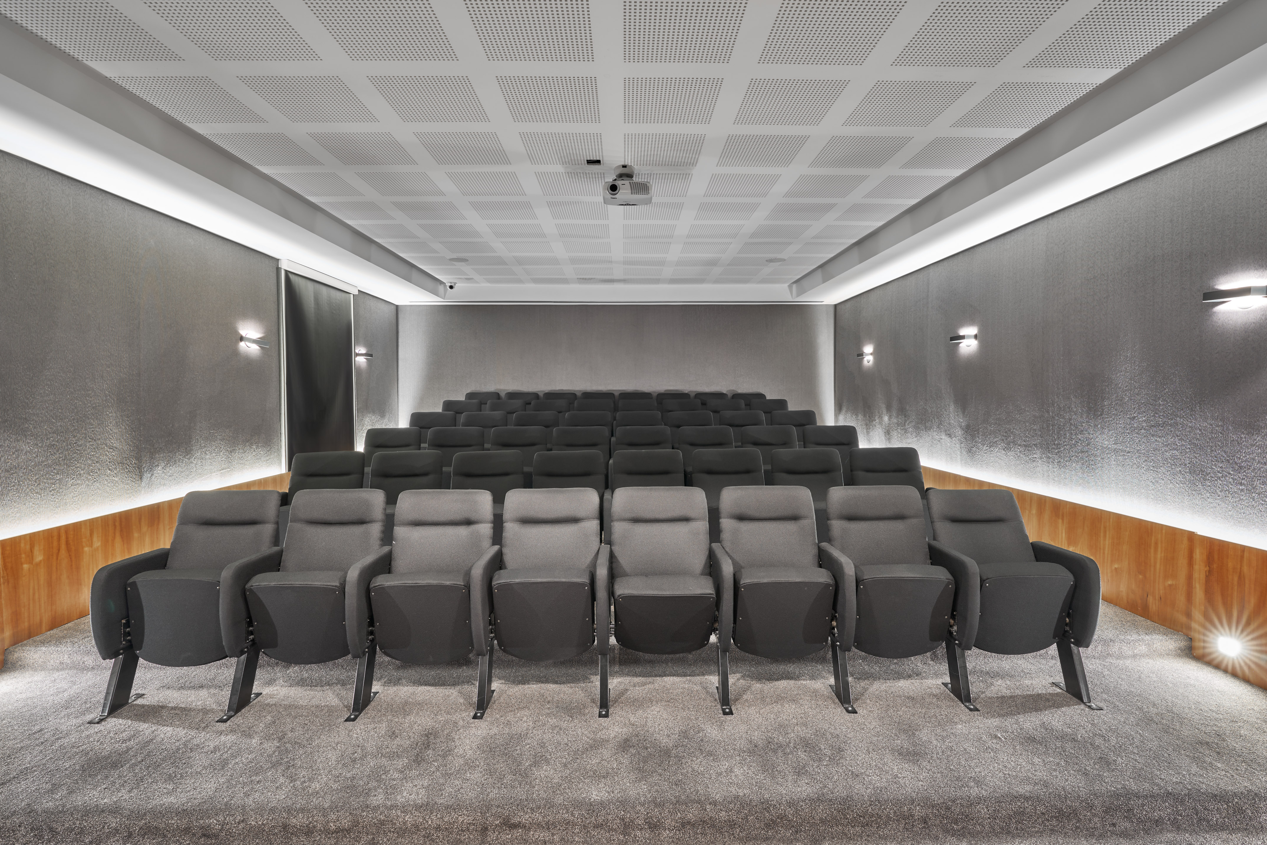 Modern grey tiered auditorium with acoustic ceiling, projector, and wooden accents.