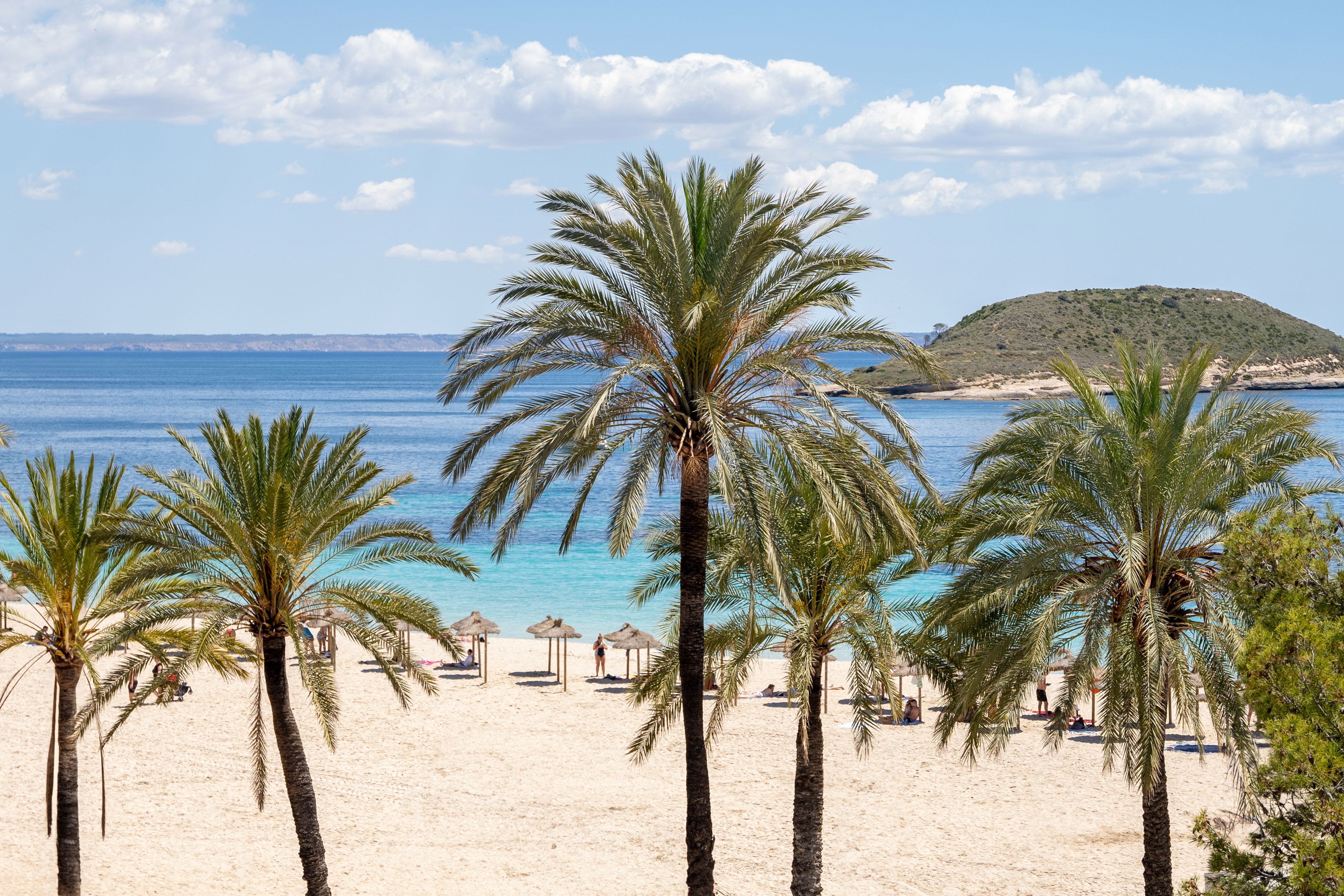 Palm trees on sandy beach with turquoise sea and distant island.