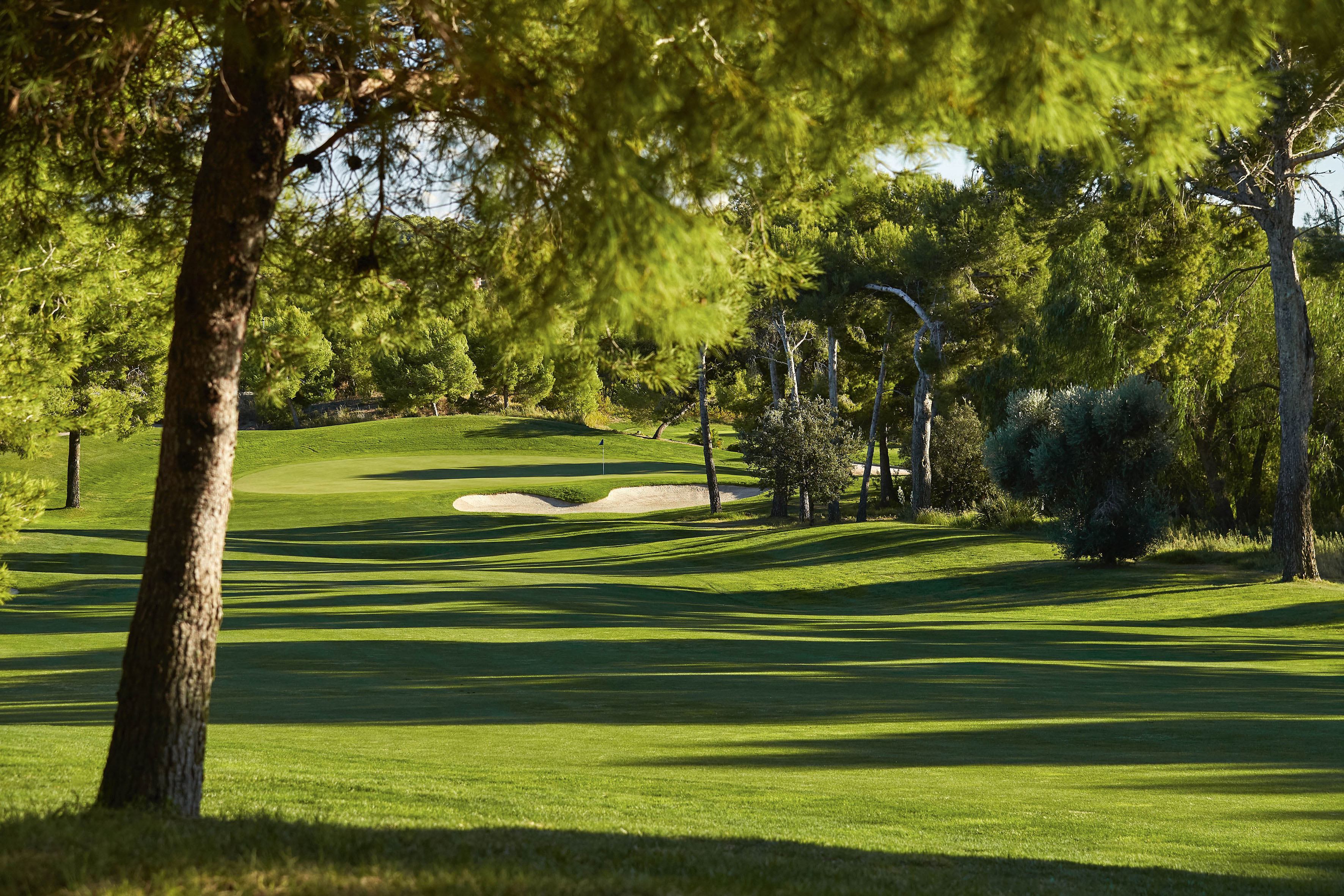 a golf course with trees and sand bunker