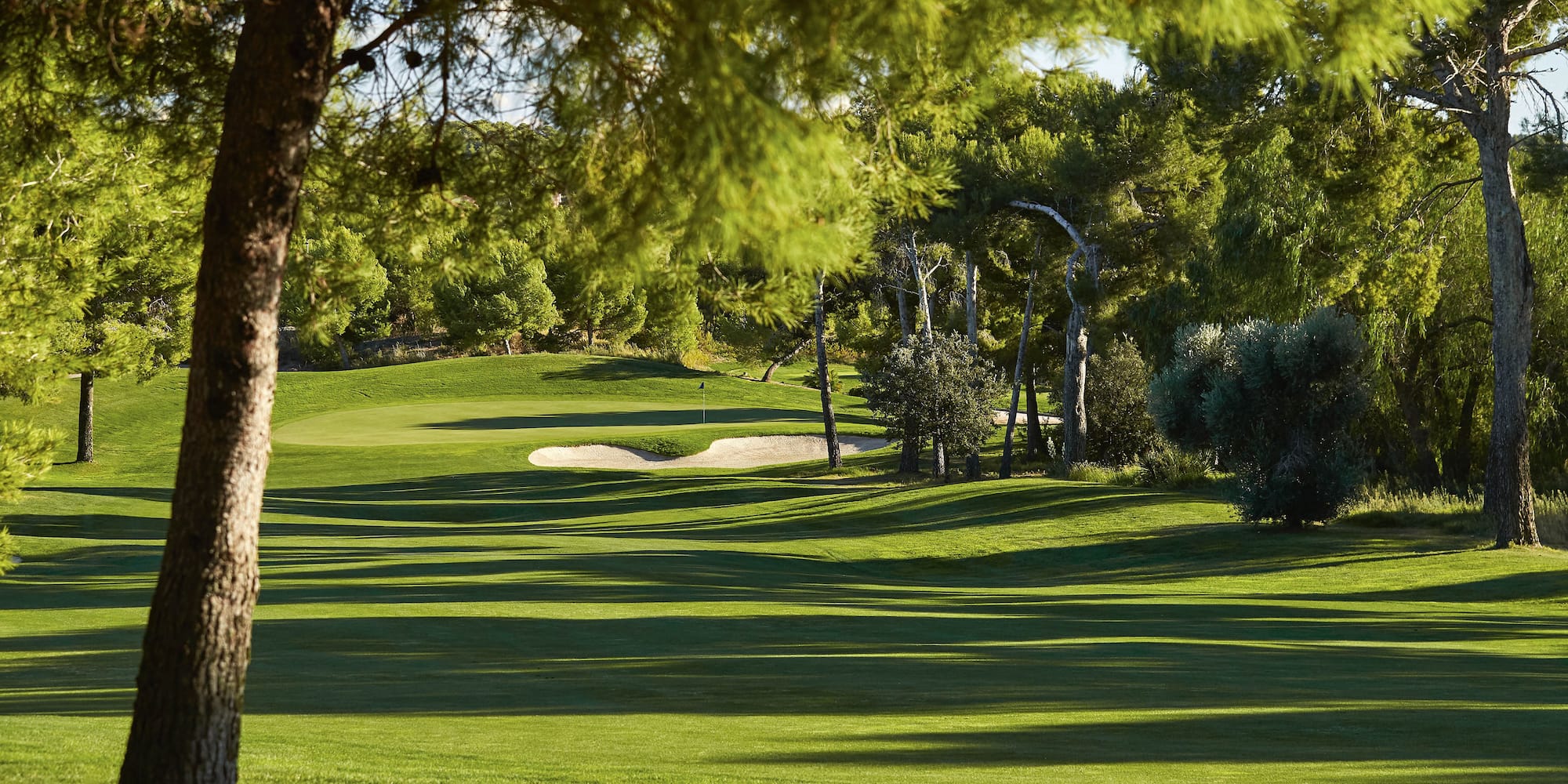 a golf course with trees and sand bunker