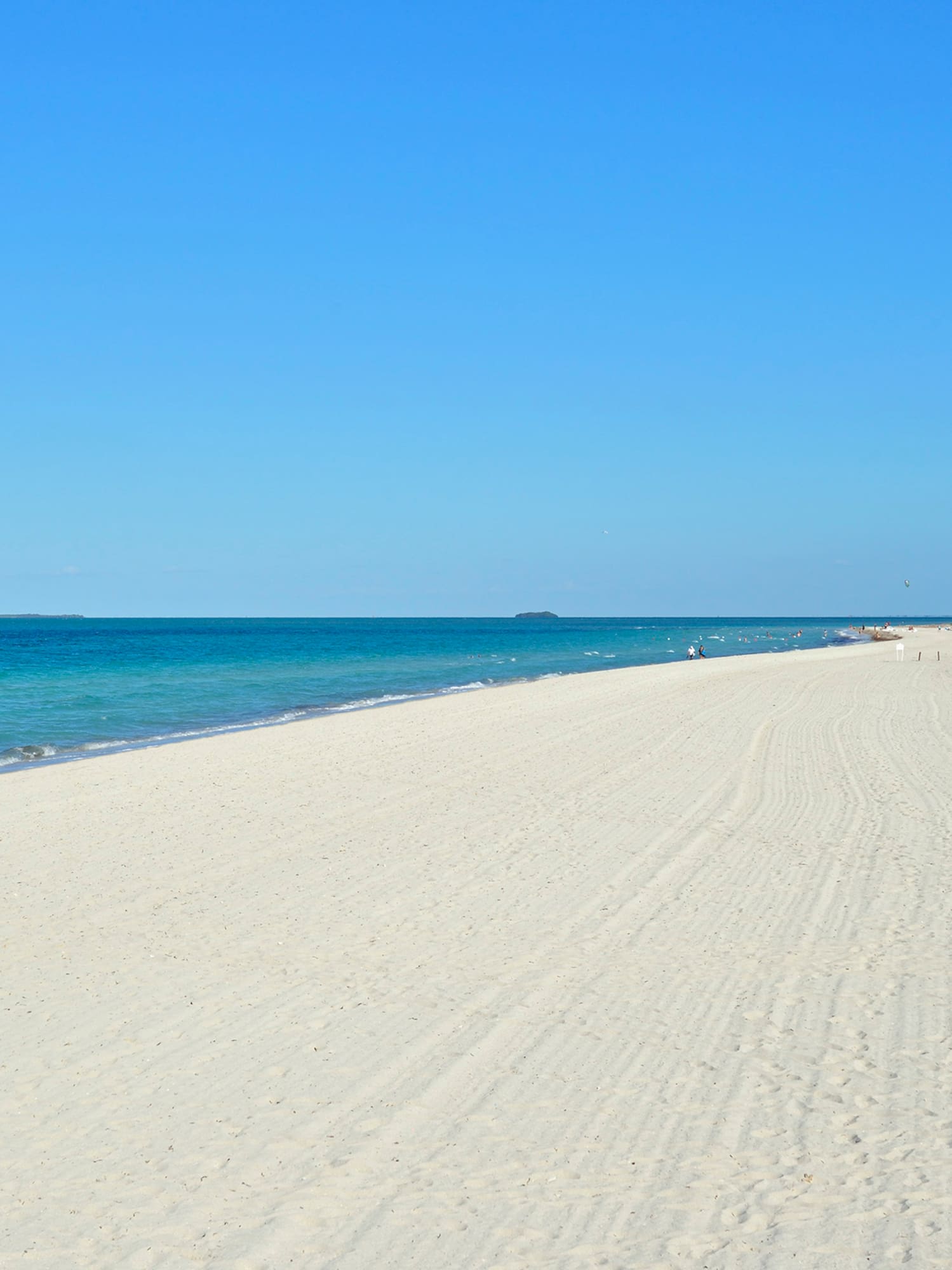 a beach with people on it