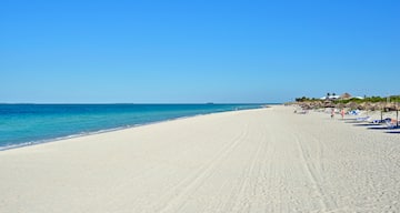 a beach with people on it