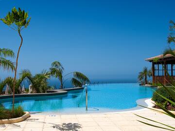a pool with a body of water and palm trees