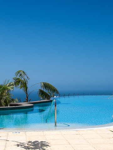 a pool with a body of water and palm trees