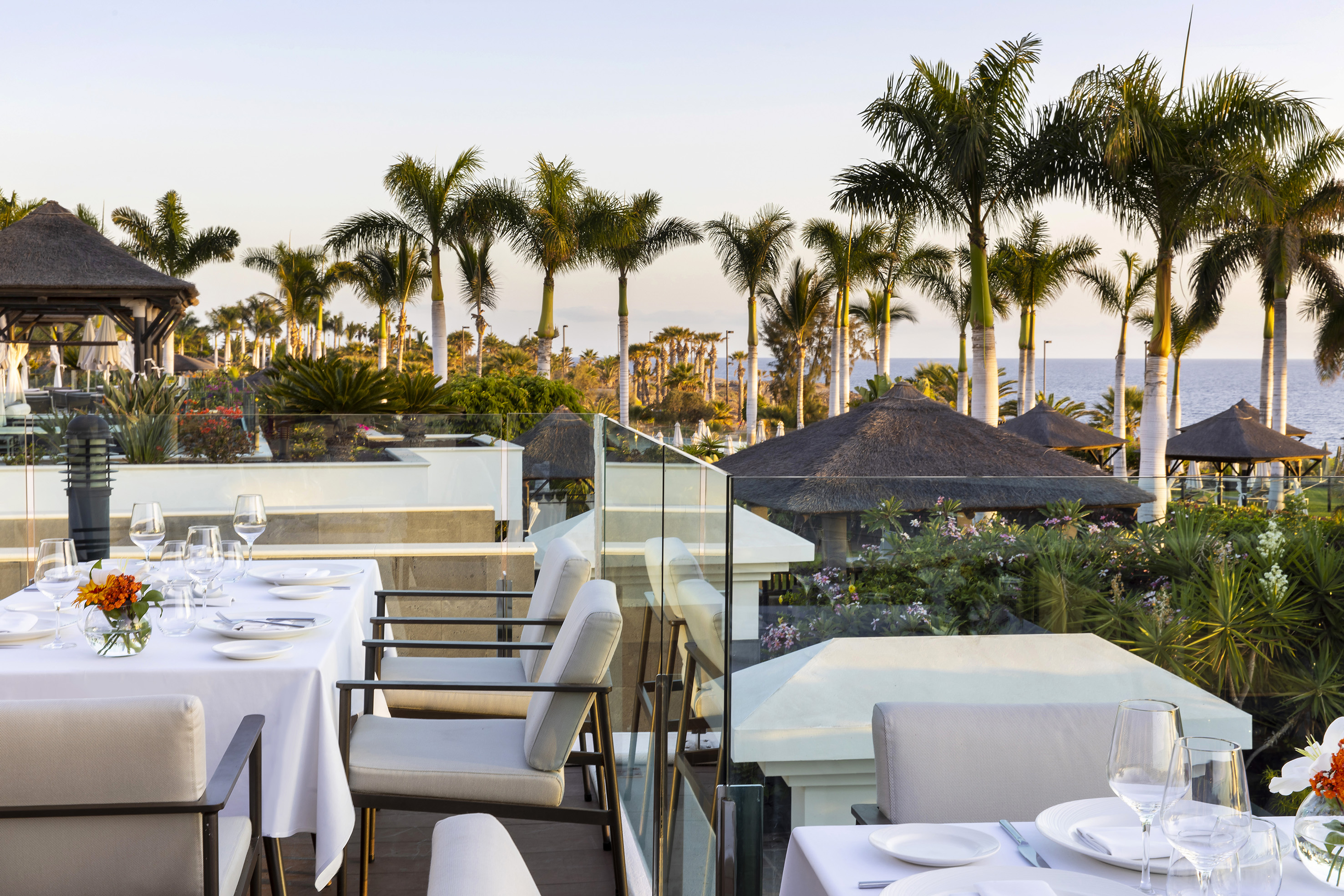 Tropical outdoor dining terrace with palm trees and ocean views.