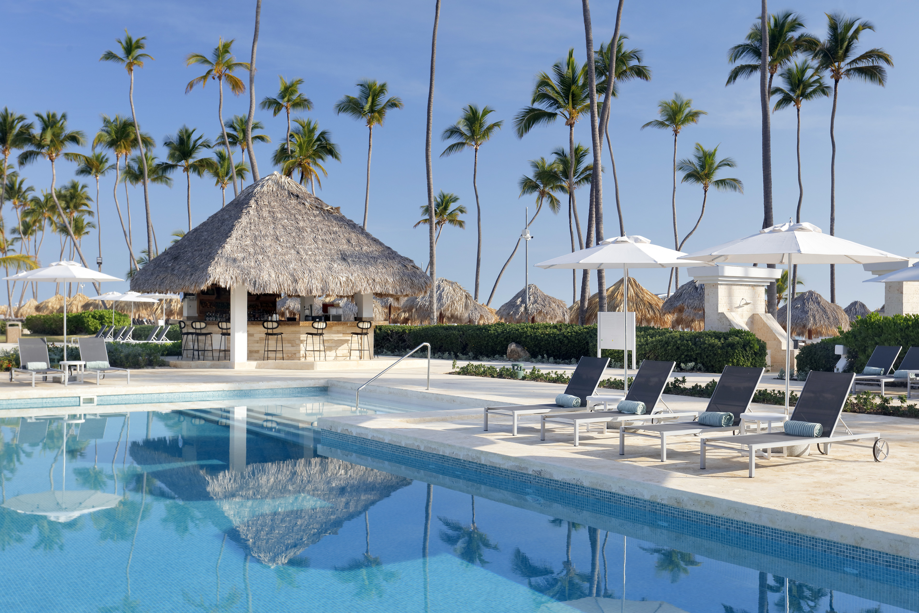 Tropical resort pool with thatch-roof bar, lounge chairs, and palm trees.