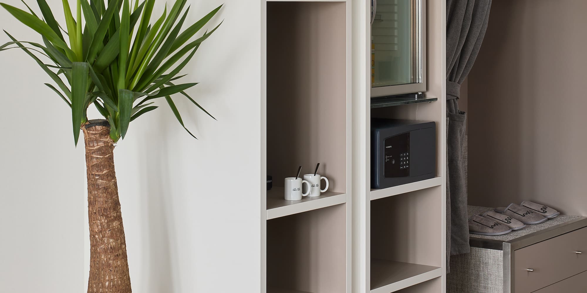 a plant in a pot next to a closet