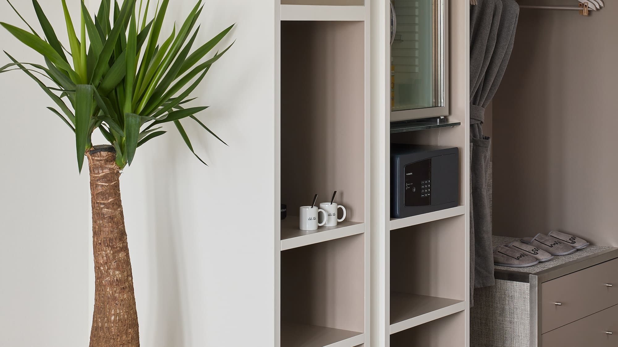 a plant in a pot next to a closet