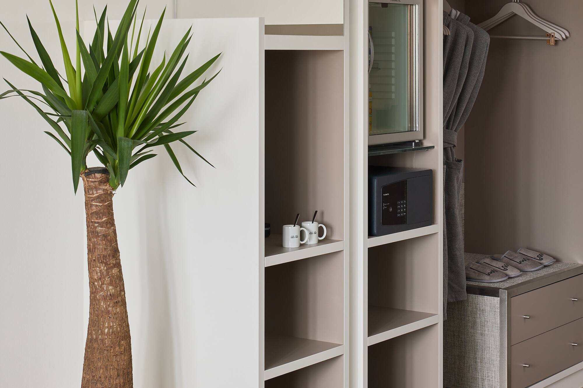 a plant in a pot next to a closet