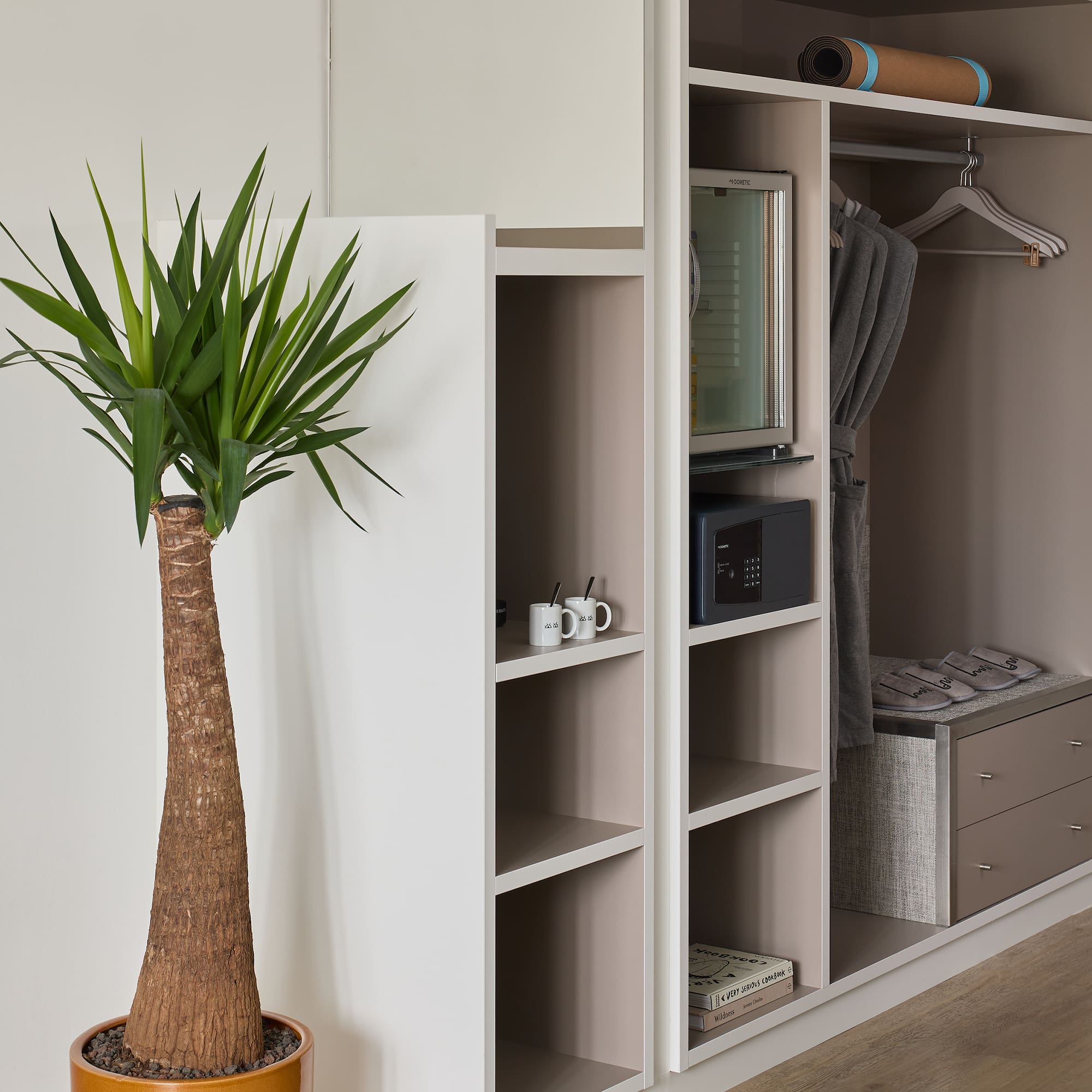 a plant in a pot next to a closet