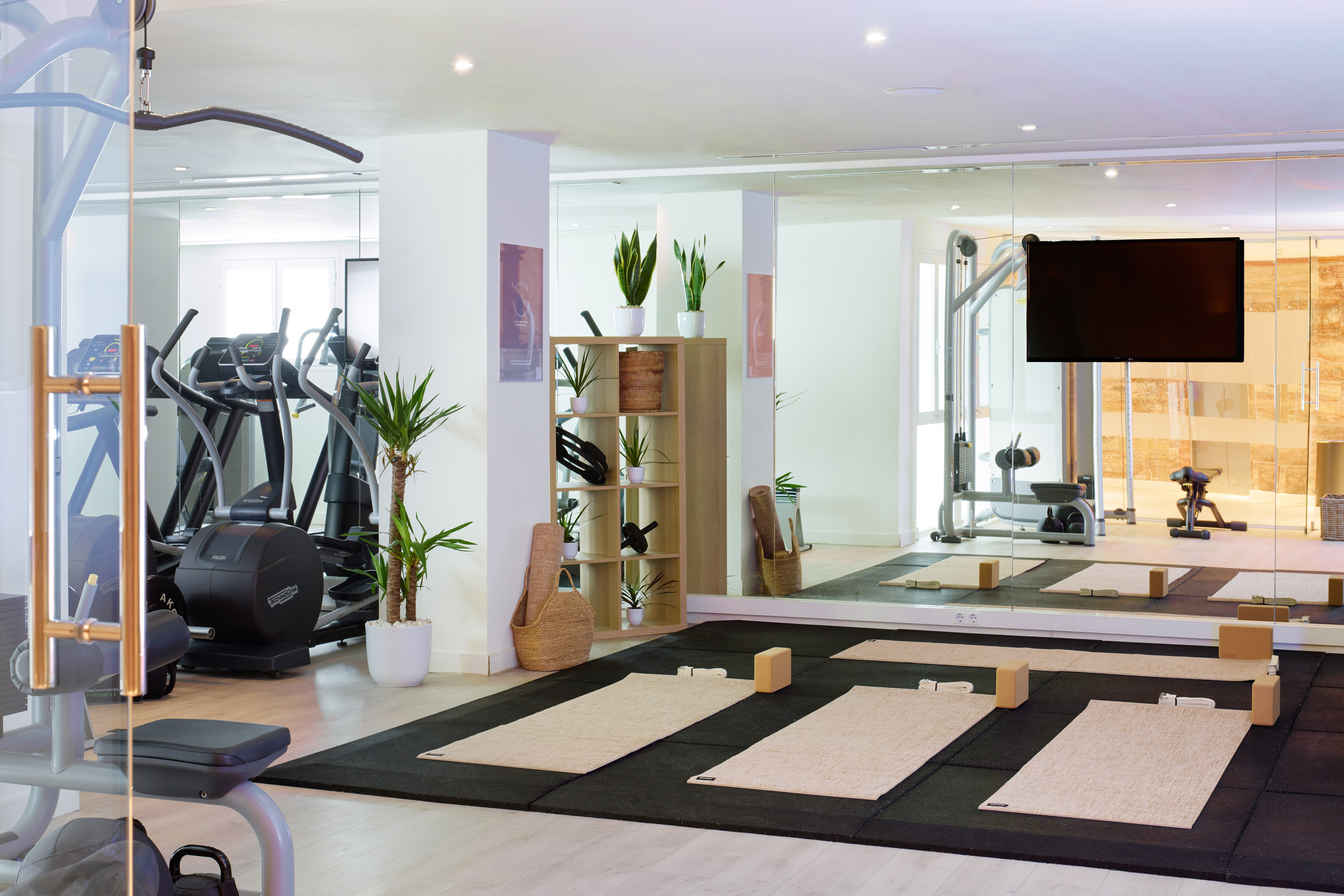 Modern fitness studio with exercise equipment, yoga mats, and large mirrors.