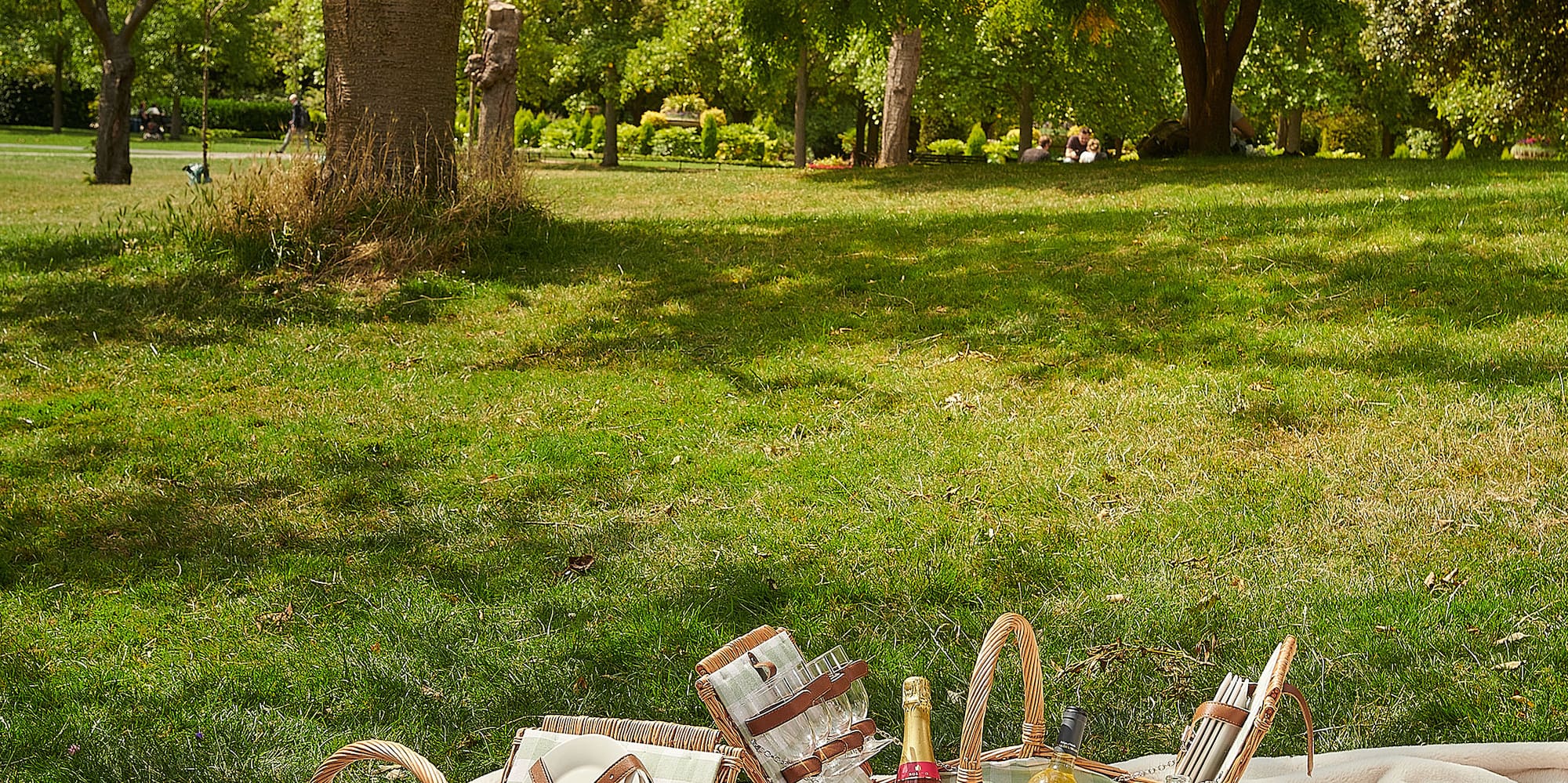 a picnic blanket with food on it