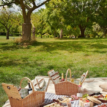 a picnic blanket with food on it