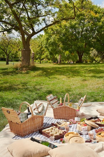 a picnic blanket with food on it