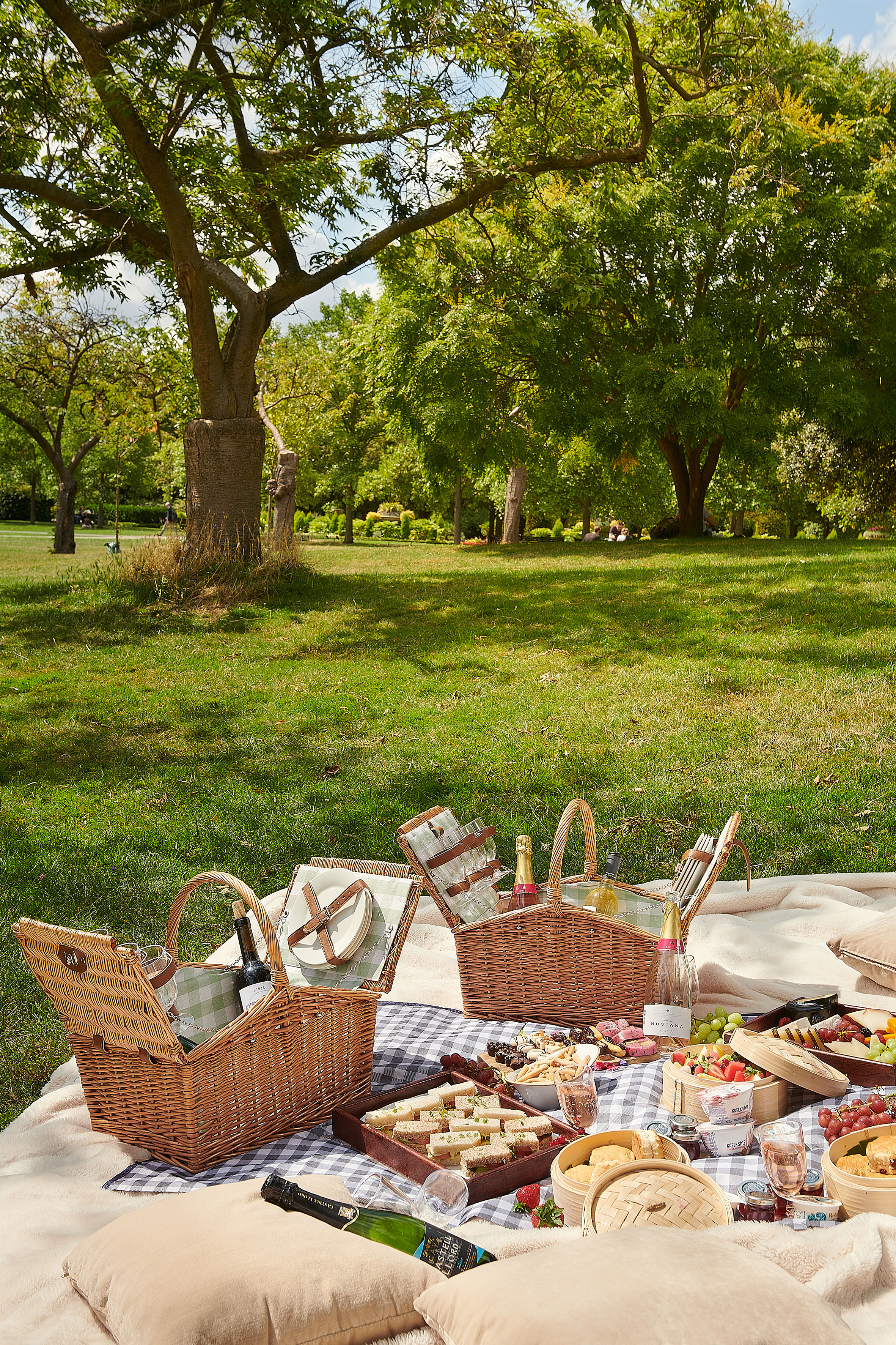 Sunny park picnic with food, champagne, and wicker baskets on a blanket.