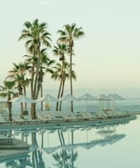 a pool with palm trees and lounge chairs