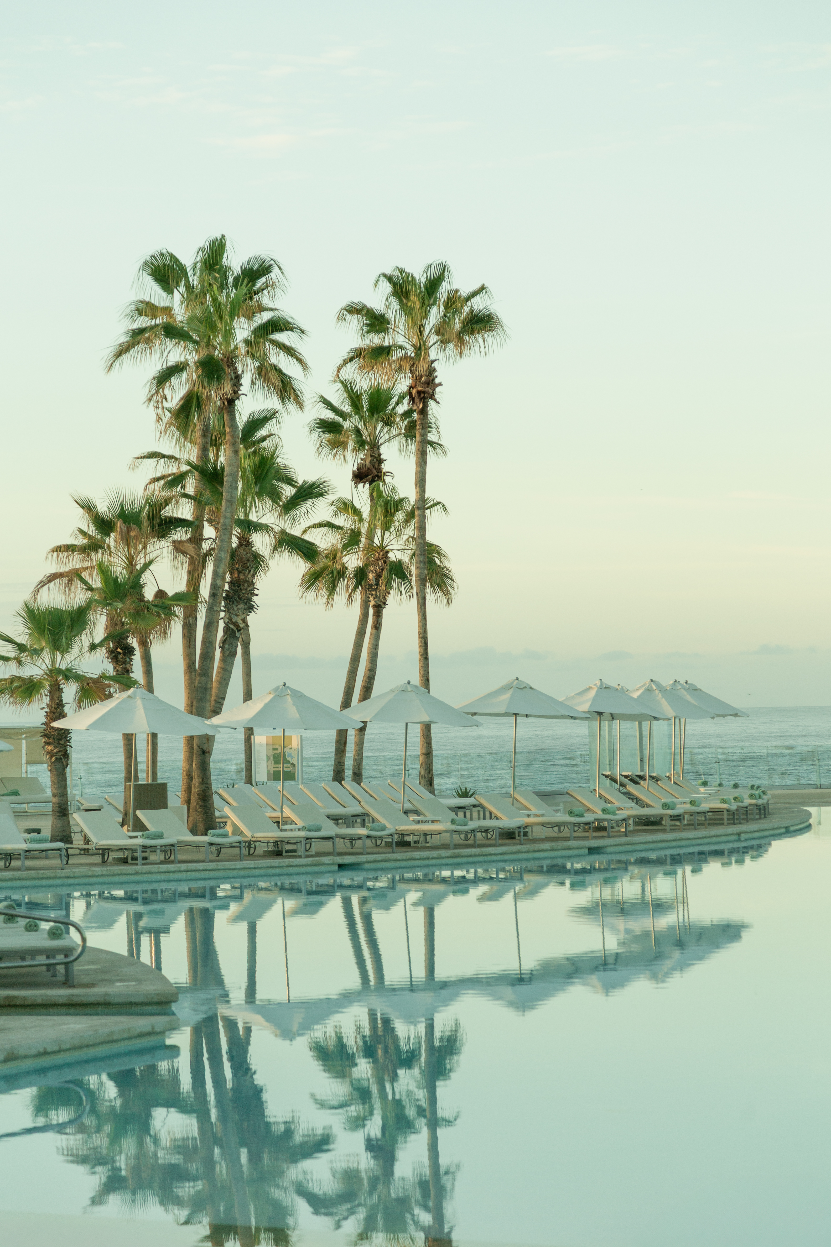 Resort pool reflecting palm trees, with sun loungers, umbrellas, and ocean.