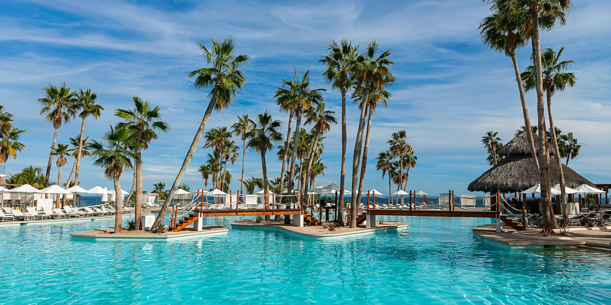 a pool with palm trees and a bridge