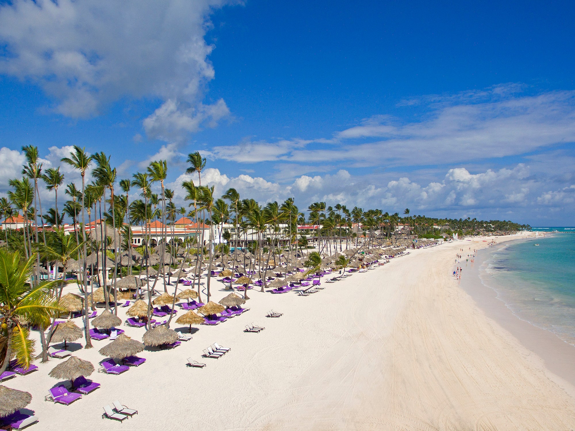 a beach with umbrellas and chairs