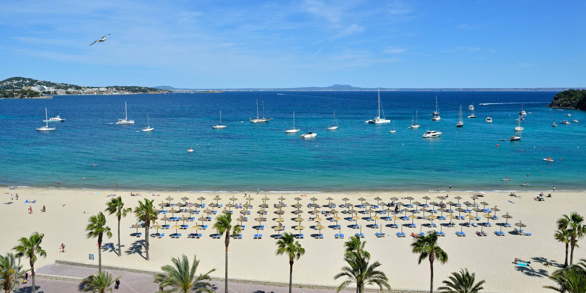 a beach with palm trees and boats