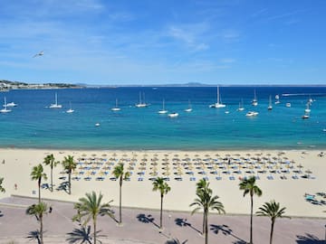 a beach with palm trees and boats