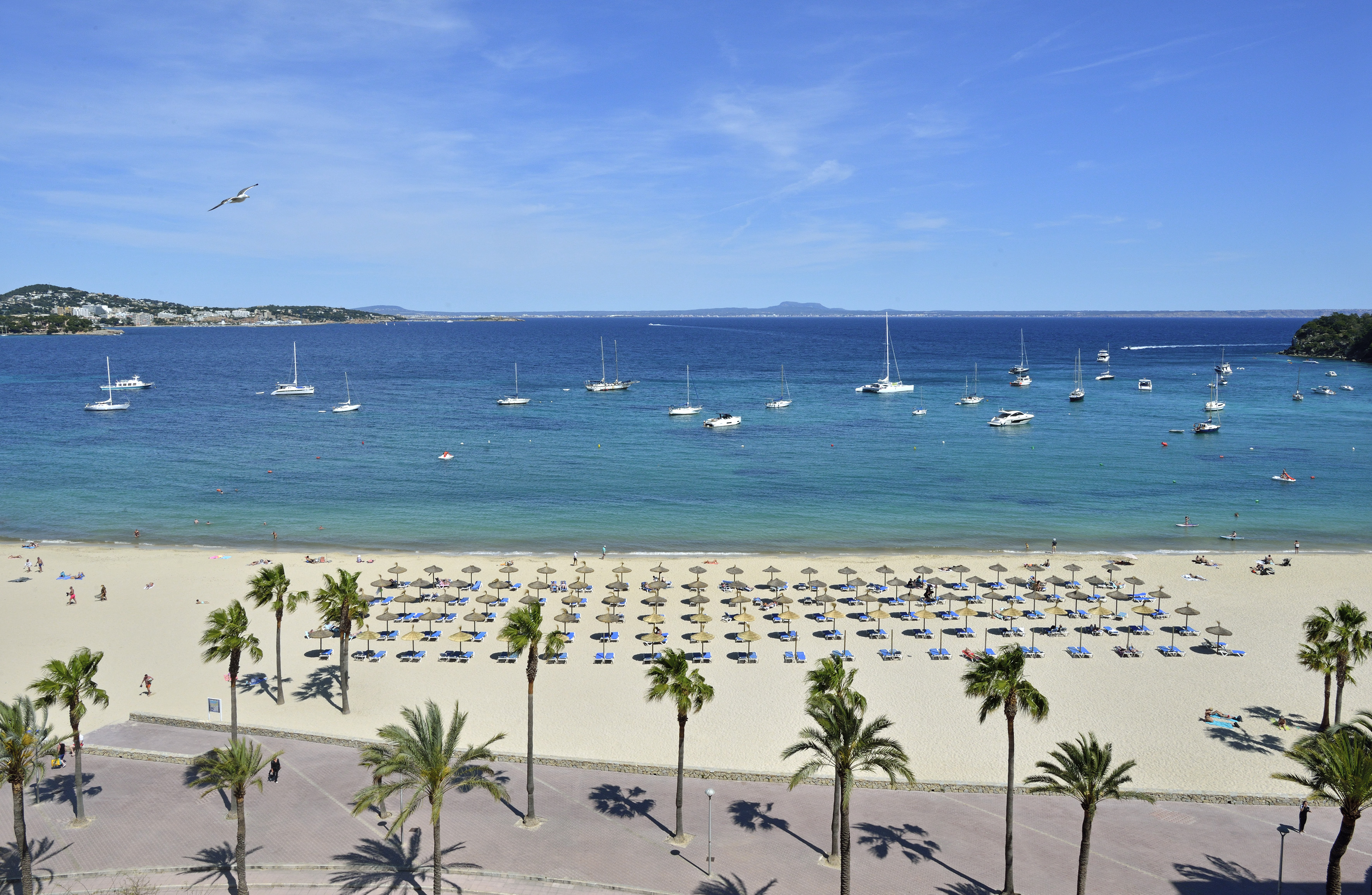 Tropical beach scene: palm trees, umbrellas, boats in turquoise sea under blue sky.