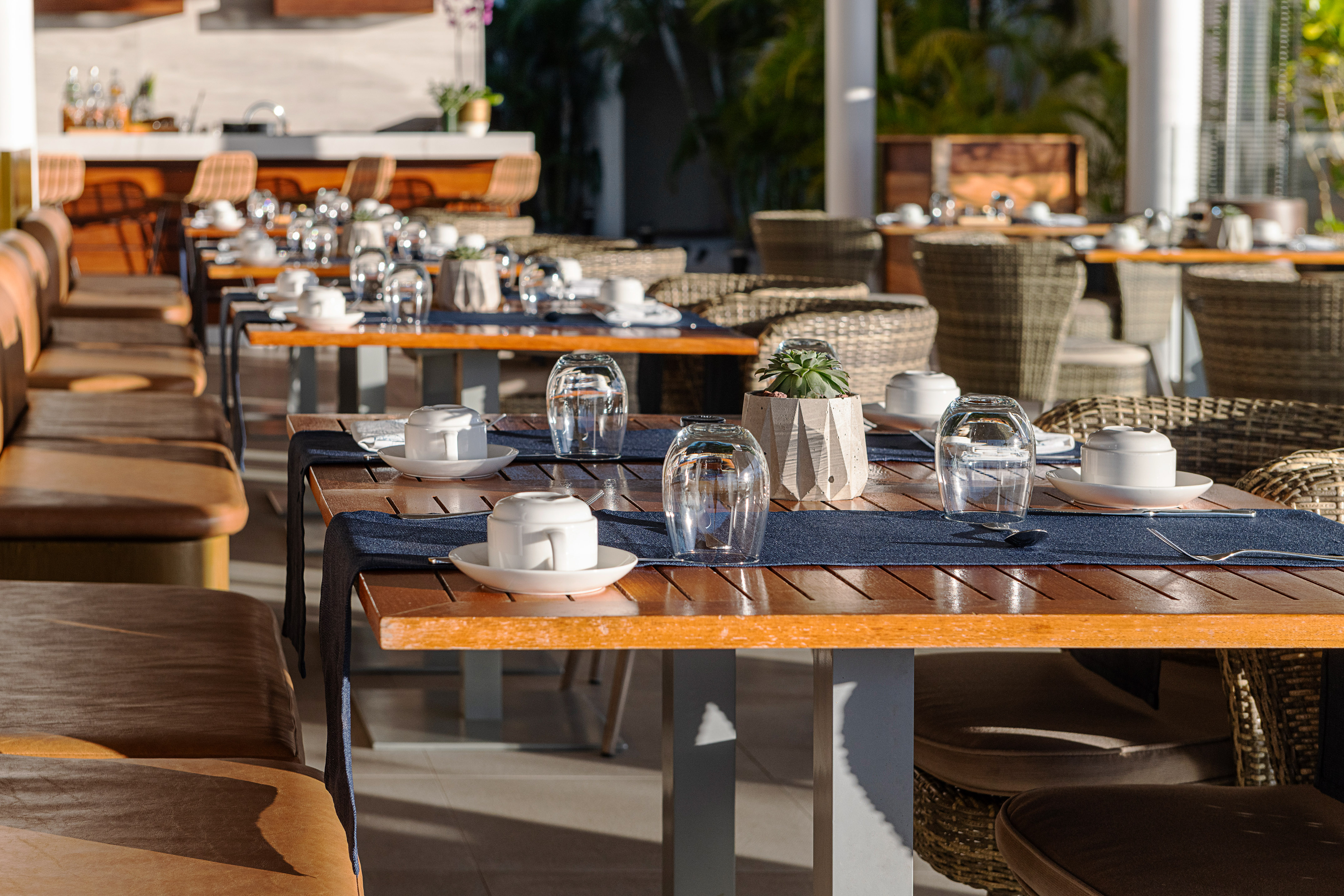 Sunny outdoor dining area with set wooden tables, white crockery, and succulents.