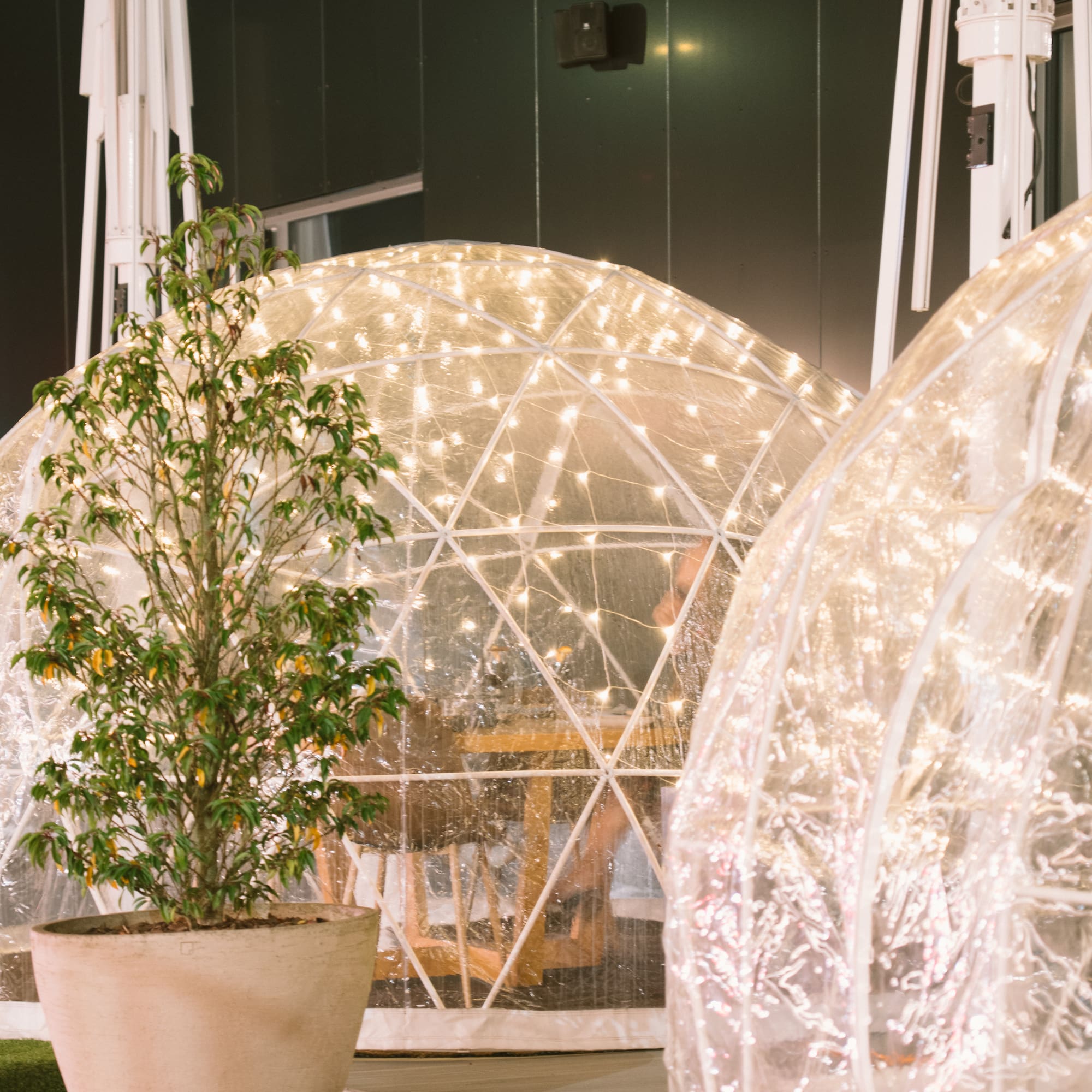 Clear dining igloos with fairy lights, potted plant, outdoor seating.