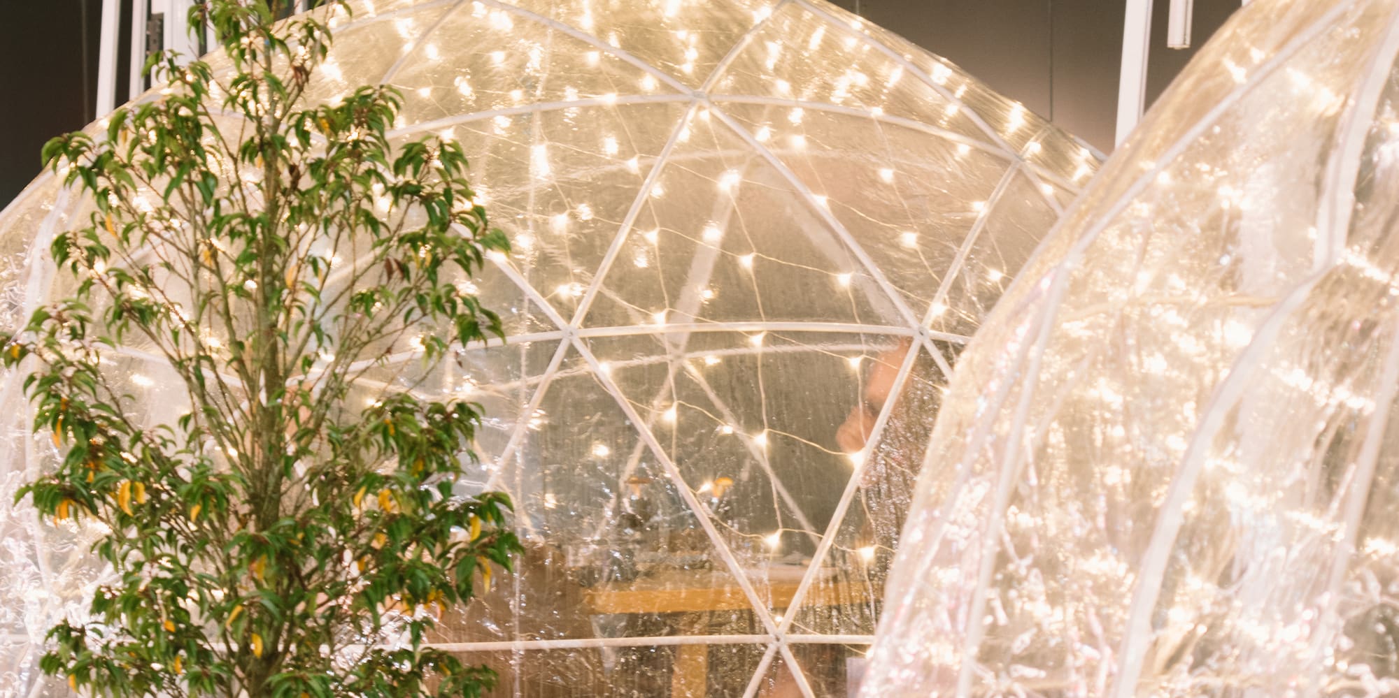 Clear dining igloos with fairy lights, potted plant, outdoor seating.