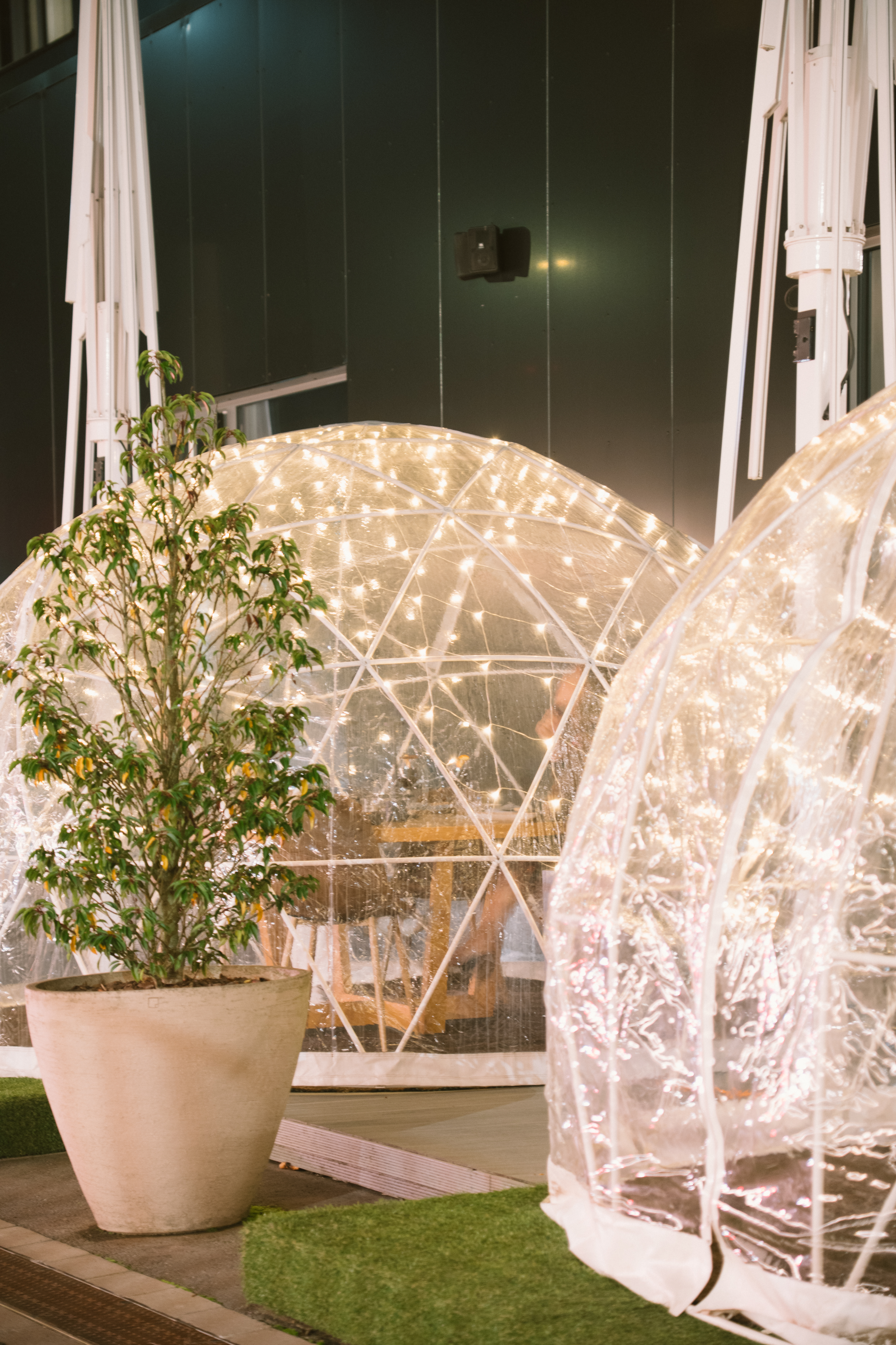 Clear dining igloos with fairy lights, potted plant, outdoor seating.