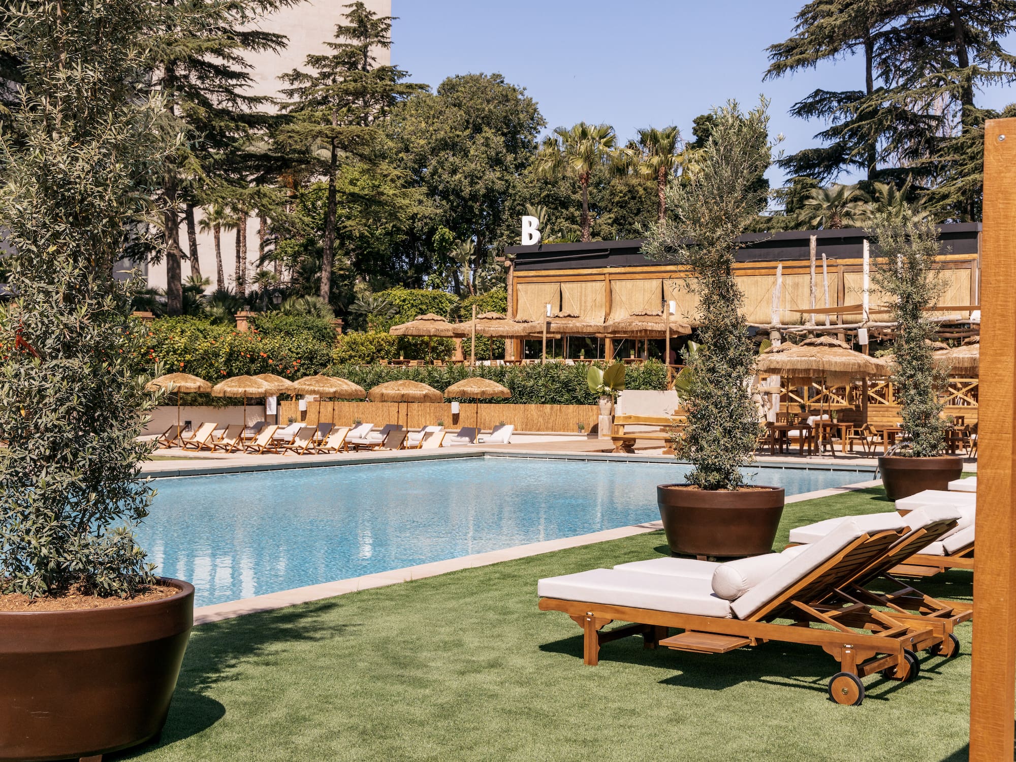 a pool with lounge chairs and trees